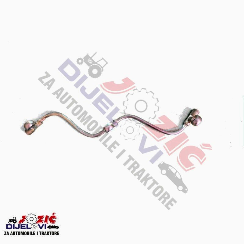 Daisy on the Ohoopee